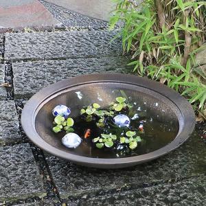 信楽焼 睡蓮鉢 メダカ鉢 おしゃれ めだか鉢 陶器 水鉢 ビオトープ