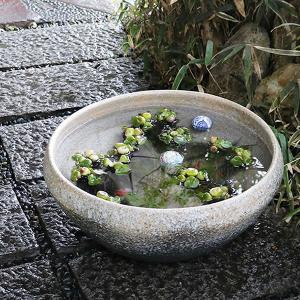 金魚鉢 陶器 大型の商品一覧 通販 Yahoo ショッピング