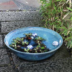 信楽焼 睡蓮鉢 メダカ鉢 おしゃれ めだか鉢 陶器