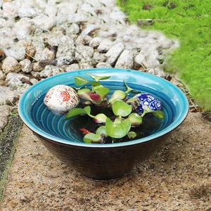 睡蓮鉢 おしゃれの商品一覧 通販 Yahoo ショッピング