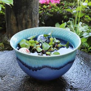信楽焼 睡蓮鉢 メダカ鉢 おしゃれ めだか鉢 陶器 水鉢