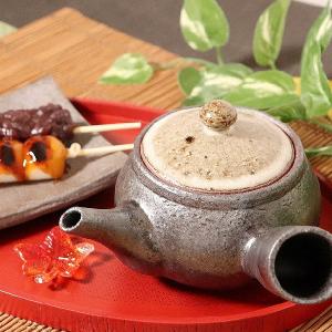 益子焼 急須セット 5客 箱入り 湯呑 急須 高級 焼物 陶器 茶器