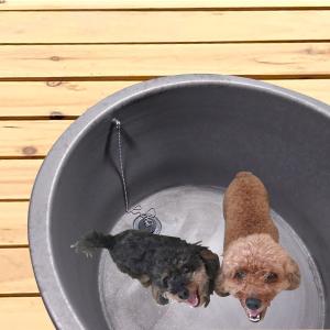 丸型 直径900×高さ430mm ペットバス 犬 ペット浴槽 ドッグバス 信楽焼浴槽 陶器浴槽 陶器風呂 やきもの バスタブ 釜風呂 信楽焼ふろ 露天風呂　陶器