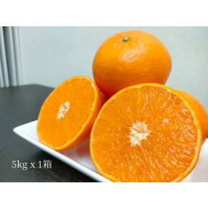 重(しげ)さん家の美味しいみかん - Yahoo!ショッピング