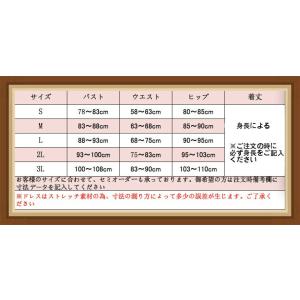 社交ダンスドレス ラテンドレス モダンドレス ...の詳細画像2