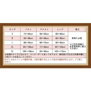社交ダンスドレス ラテンドレス モダンドレス ...の詳細画像1
