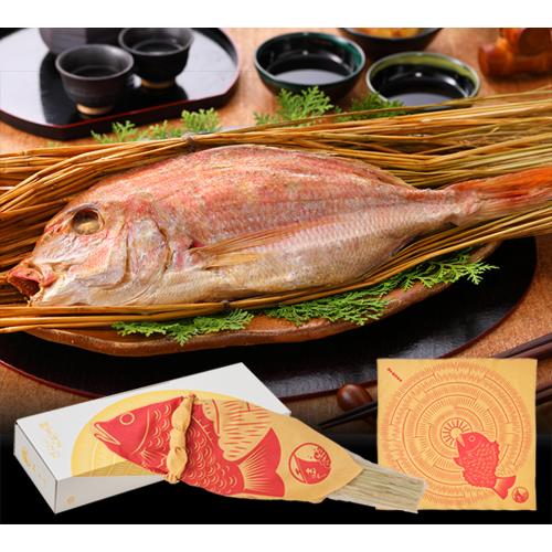 お食い初め 料理 鯛 国産 塩焼き 祝い鯛塩むし天然真鯛  約38cm(1kg) 3〜4人前 塩むし...