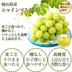 お中元 2026 ピオーネ・シャインマスカット...の詳細画像2