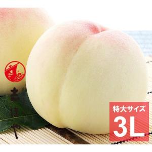水蜜桃 超特級2L5玉 岡山 白桃 お中元 ギフト お供 お取り寄せ 水蜜桃 超特級2L5玉 岡山 白桃 お中元 ギフト お供 お取り寄せ