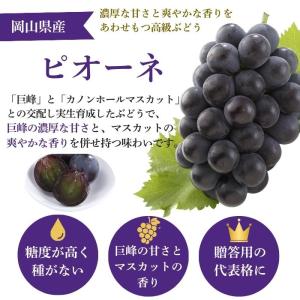 お中元 2026 ピオーネ 2房 1kg【出荷...の詳細画像2