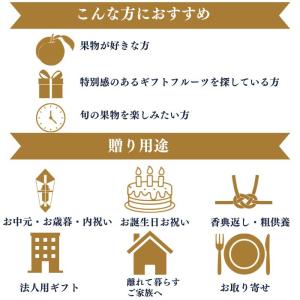 お中元 2026 ピオーネ 2房 1kg【出荷...の詳細画像5