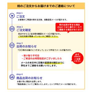お中元 2026 黄金桃(3玉)・ピオーネ(1...の詳細画像1