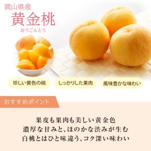 お中元 2026 黄金桃(3玉)・ピオーネ(1...の詳細画像3