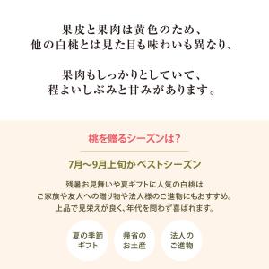 お中元 2026 黄金桃(3玉)・ピオーネ(1...の詳細画像4