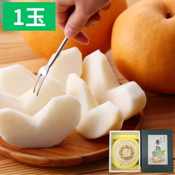 梨 愛宕 岡山県産 あたご梨 1玉 約750g〜800g 贈答用 冬ギフト お歳暮 果物 ギフト 旬...