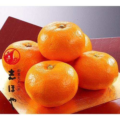 みかん 愛媛県産 極上みかん 柑橘 2.2kg 24〜26玉 光センサー選別 贈答用 果物 ギフト ...