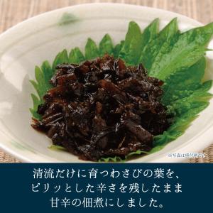 【メーカー直送】しいの食品 葉わさび佃煮 14...の詳細画像2