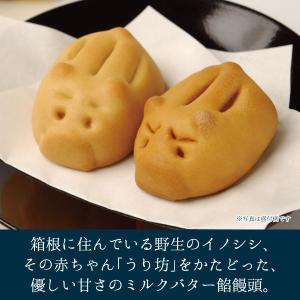 【メーカー直送】しいの食品 箱根のうり坊(ミル...の詳細画像1