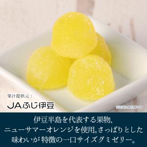 【メーカー直送】しいの食品 伊豆ニューサマーオ...の詳細画像1
