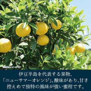 【メーカー直送】しいの食品 伊豆ニューサマーオ...の詳細画像3