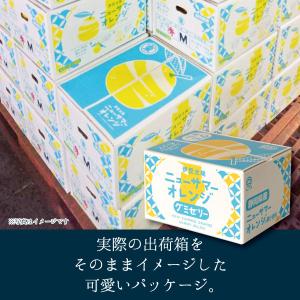 【メーカー直送】しいの食品 伊豆ニューサマーオ...の詳細画像4