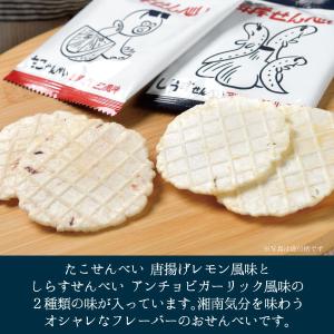 【メーカー直送】しいの食品 湘南海岸せんべい ...の詳細画像1