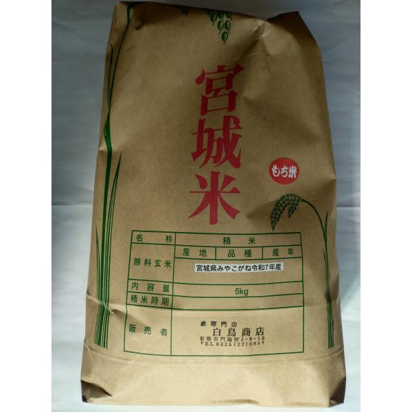 宮城県産  みやこがねもち 精米5kg  令和7年産