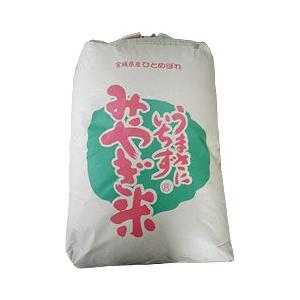 宮城県登米産 ひとめぼれ 環境保全米 令和5年産1等米玄米30kg