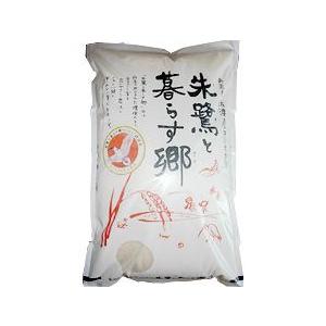 コシヒカリ 千葉県いすみ市産 いすみ米 令和7年産 玄米5kg （精米方法