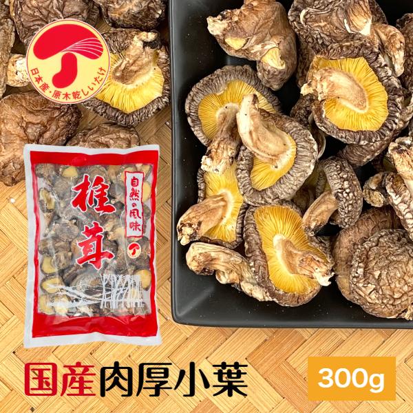 干し椎茸 国産 肉厚小葉 300g 大容量 原木栽培 ( しいたけ 干ししいたけ )
