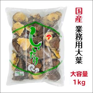 干し椎茸 国産 業務用 大葉 1kg 大容量 原木栽培 西日本産 ( しいたけ 干ししいたけ )｜shiitake-isekyu