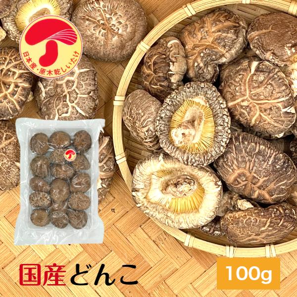 干し椎茸 国産 どんこ 100g 優良品 原木栽培 無農薬 ( しいたけ 椎茸 シイタケ 干ししいた...
