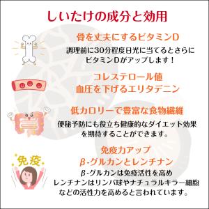 干し椎茸 国産 小さな割れ 110g 原木栽培...の詳細画像5