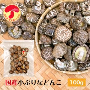 干し椎茸 九州産 小ぶりなどんこ 100g 原木栽培 無農薬 チャック付き袋 ( 国産 どんこ しいたけ 椎茸 シイタケ 干ししいたけ 干しシイタケ )｜shiitake-isekyu