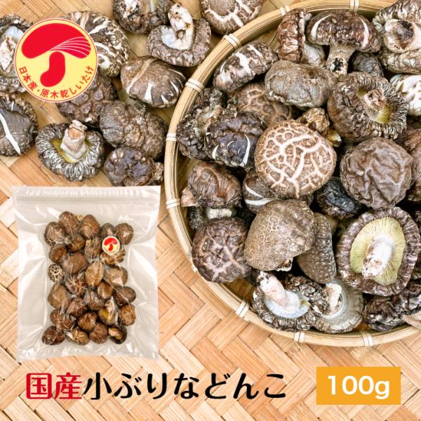 干し椎茸 国産 小ぶりなどんこ 100g 原木栽培 無農薬 チャック付き袋 ( 国産 どんこ しいた...