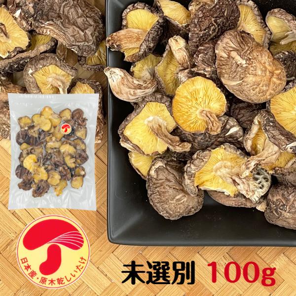 干し椎茸 国産 未選別 100g 原木栽培 ( しいたけ 椎茸 シイタケ 干ししいたけ 干しシイタケ...