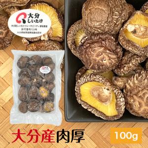 干し椎茸 大分産 肉厚 100g 中サイズ 原木栽培 無農薬 ( 国産 大分県産 しいたけ 椎茸 シイタケ 干ししいたけ 干しシイタケ )｜shiitake-isekyu