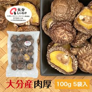 干し椎茸 大分産 肉厚 100g×5袋入 中サイズ 原木栽培 無農薬 ( 国産 大分県産 しいたけ 椎茸 シイタケ 干ししいたけ 干しシイタケ )｜shiitake-isekyu