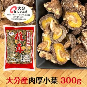 干し椎茸 大分産 肉厚小葉 300g 大容量 原木栽培 無農薬 ( 国産 大分県産 しいたけ 椎茸 シイタケ 干ししいたけ 干しシイタケ )｜shiitake-isekyu