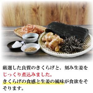 きくらげと生姜の佃煮 ご飯のお供 冷奴 酒のつ...の詳細画像1