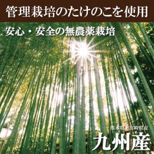 九州産乾したけのこ80g 国産 干し筍 干しタ...の詳細画像1