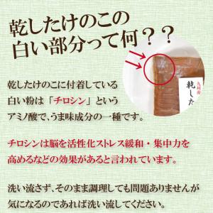 九州産乾したけのこ80g 国産 干し筍 干しタ...の詳細画像4