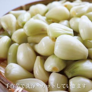 甘らっきょう3個セット 【1袋80g 国産 宮...の詳細画像3