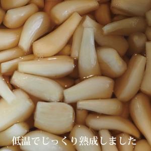 甘らっきょう3個セット 【1袋80g 国産 宮...の詳細画像4