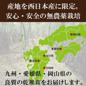国内産中玉どんこ椎茸300g 干し椎茸 国産 ...の詳細画像2