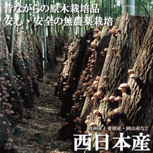 国内産未選別椎茸300g 干し椎茸 国産 送料...の詳細画像1