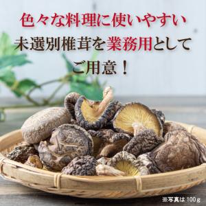国内産未選別椎茸300g 干し椎茸 国産 送料...の詳細画像2