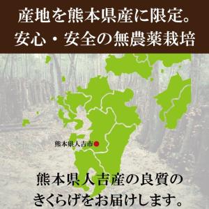 熊本県産きくらげスライス180g 国産 送料無...の詳細画像3