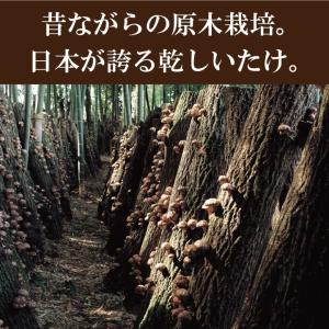 100g×2個 国内産スライス椎茸 干し椎茸 ...の詳細画像2
