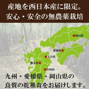 100g×2個 国内産スライス椎茸 干し椎茸 ...の詳細画像3
